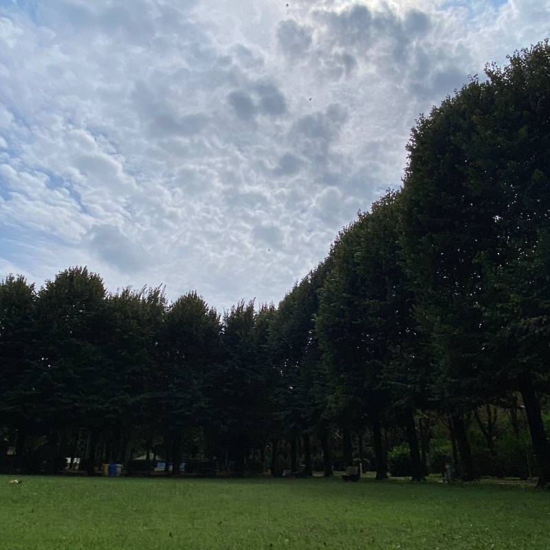 Fotosegnalazione di Spirano