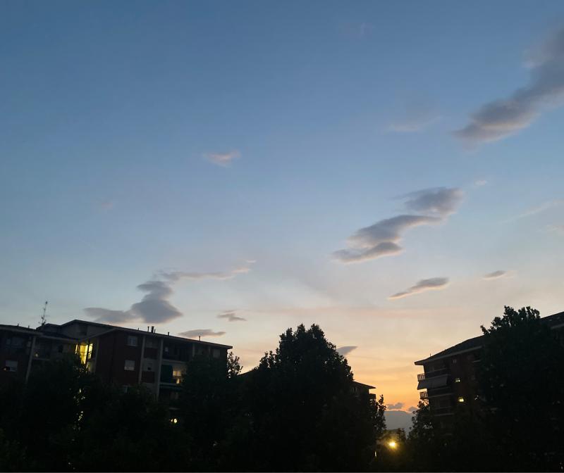 Fotosegnalazione di Torino santa rita