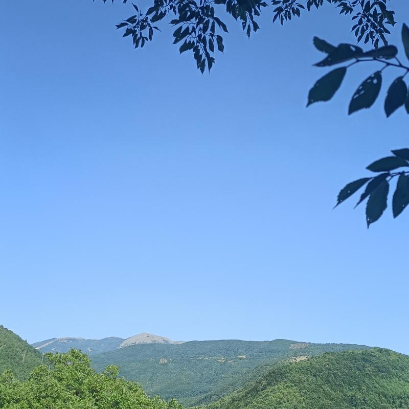 Fotosegnalazione di Nocera umbra
