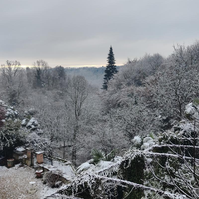 Fotosegnalazione di Barbania