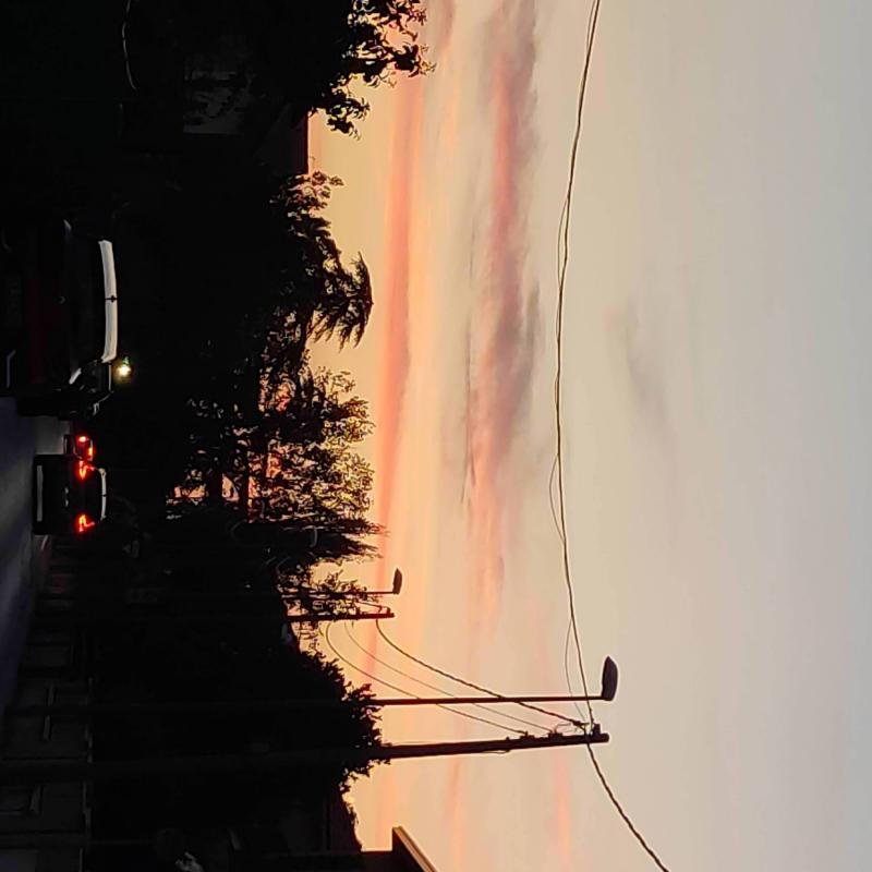 Fotosegnalazione di Foligno