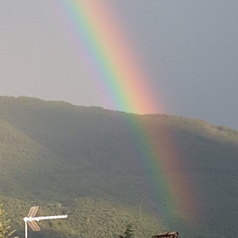 Fotosegnalazione di Mezzocorona