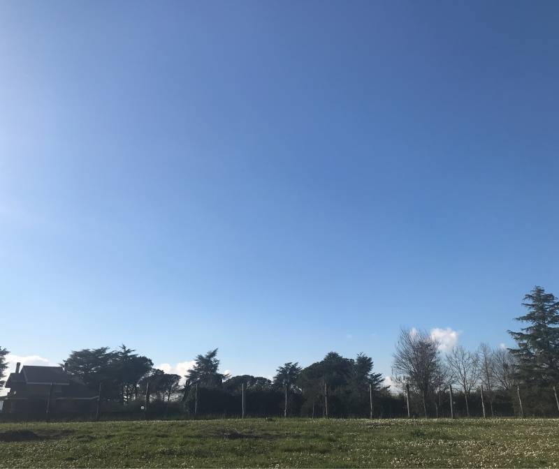 Fotosegnalazione di Manziana