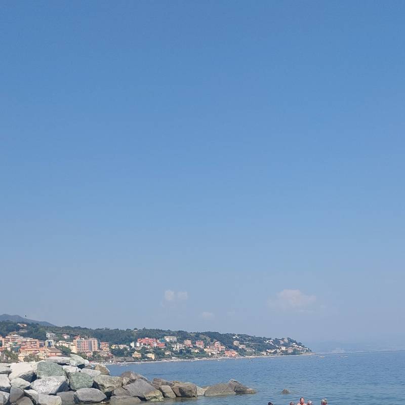 Cogoleto