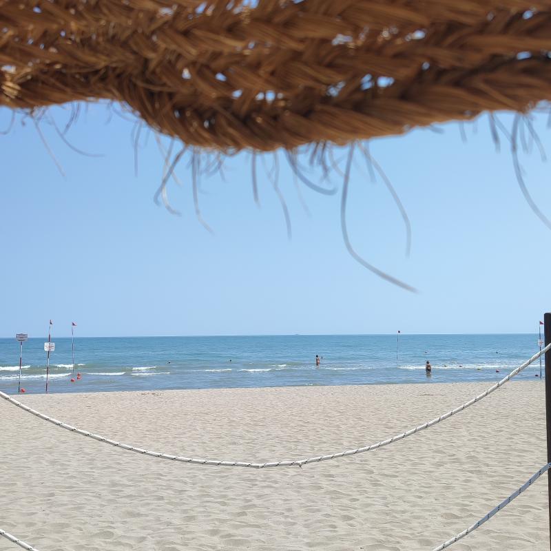 Fotosegnalazione di Rosolina mare