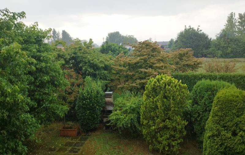 galliate lombardo ore 18 temporale afoso