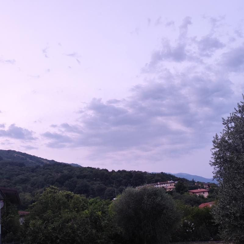 Fotosegnalazione di Sarone