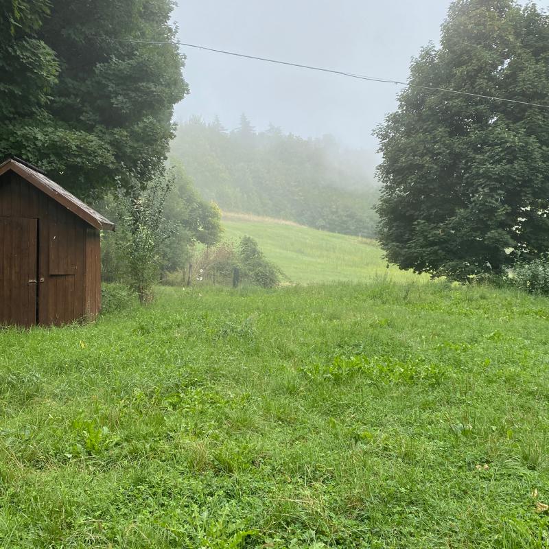 Fotosegnalazione di Serramazzoni