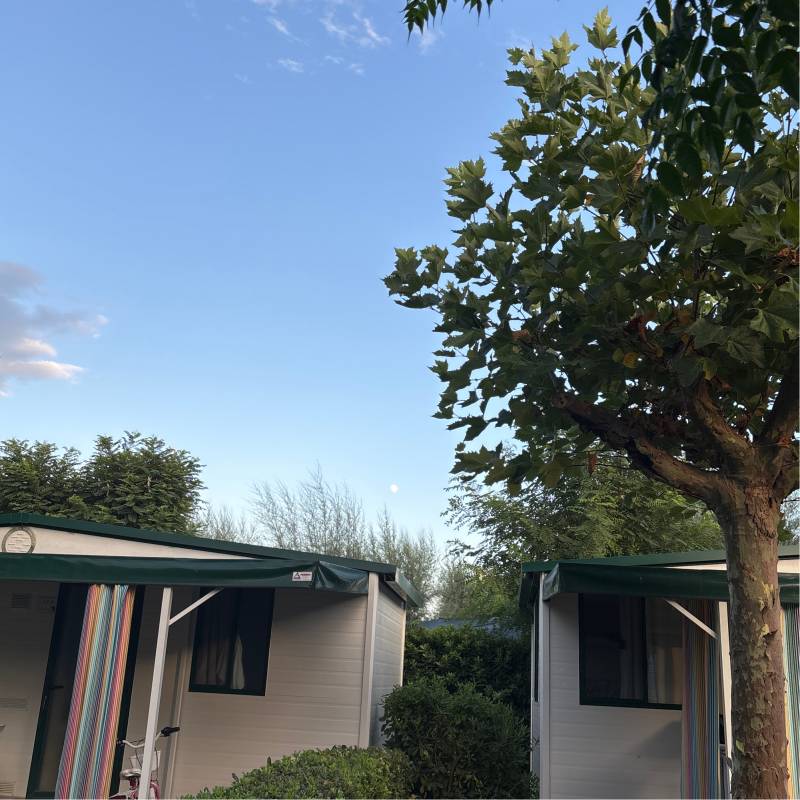 Fotosegnalazione di Marina palmense