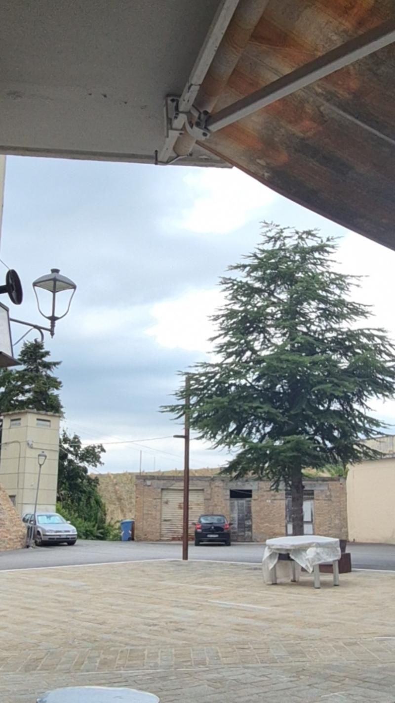Meteo montalto
