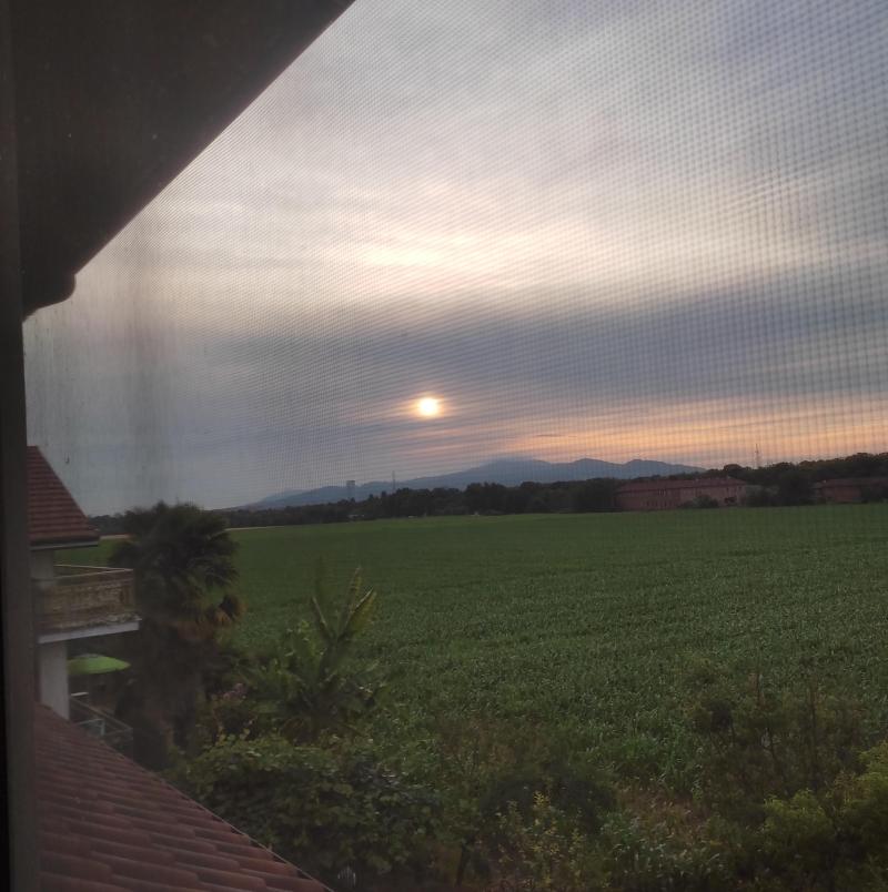 alba