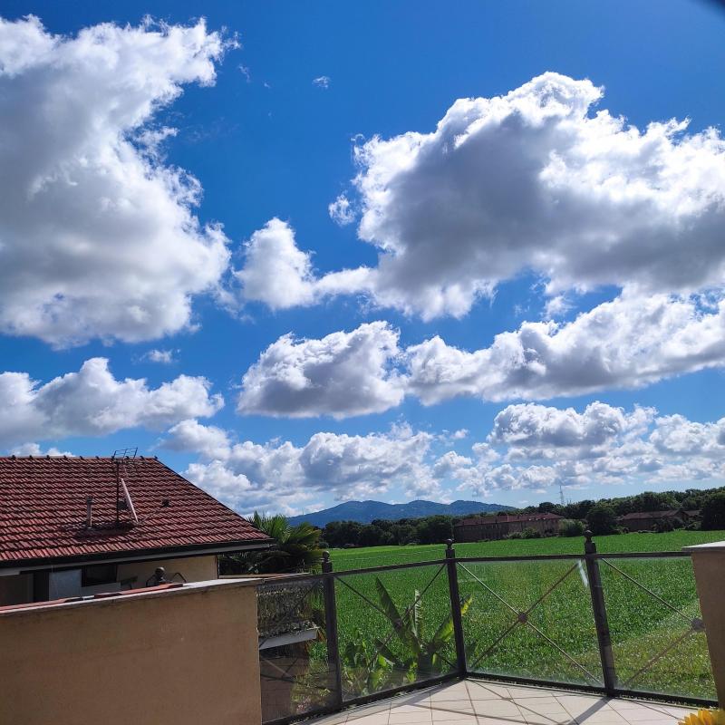 cielo