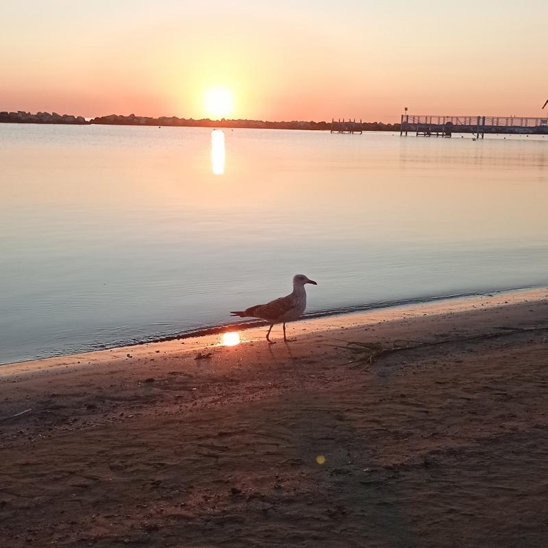 Poco dopo l'alba...