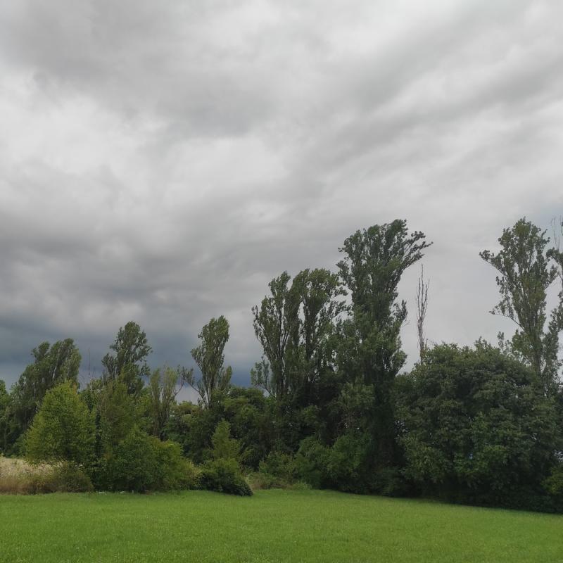 Fotosegnalazione di Udine s. gottardo