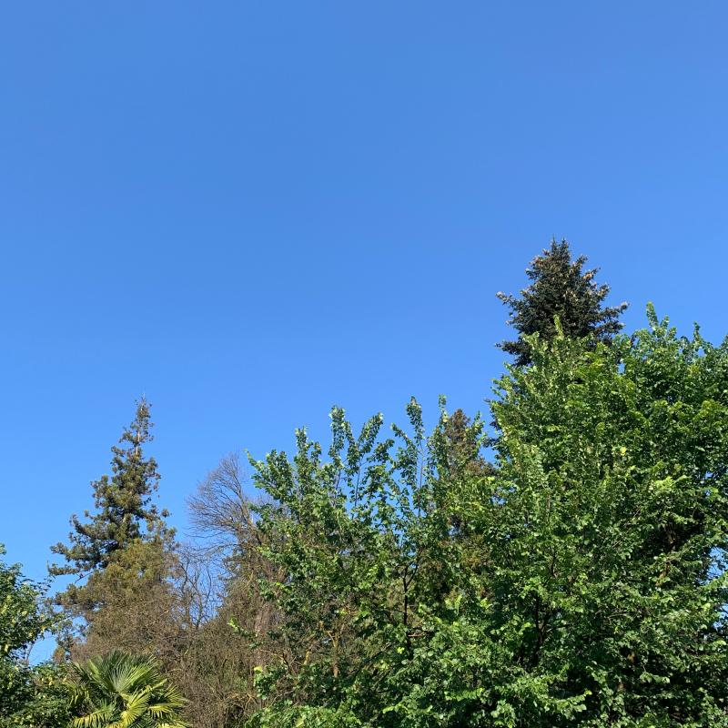 Meteo di oleggio castello