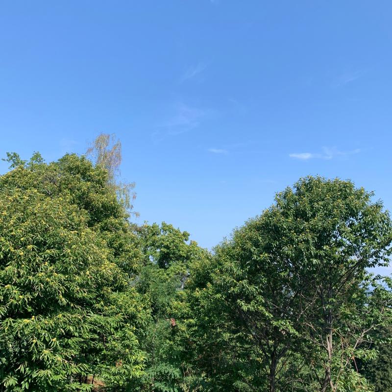 Fotosegnalazione di Arona