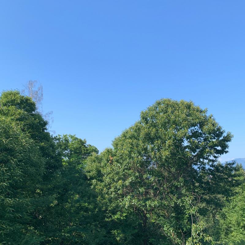 Fotosegnalazione di Oleggio castello