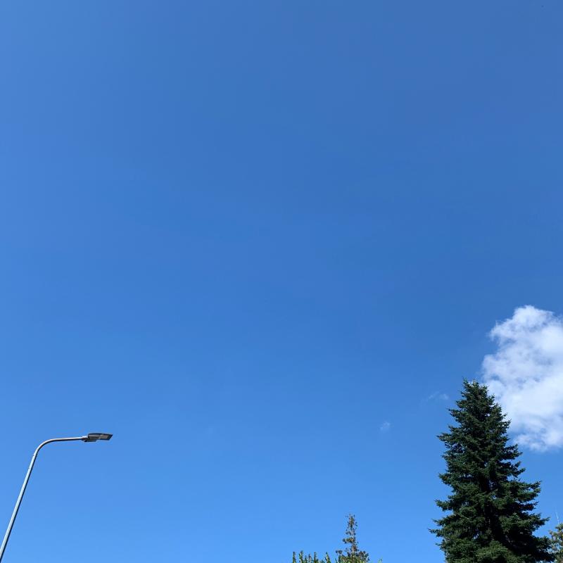 Fotosegnalazione di Oleggio castello