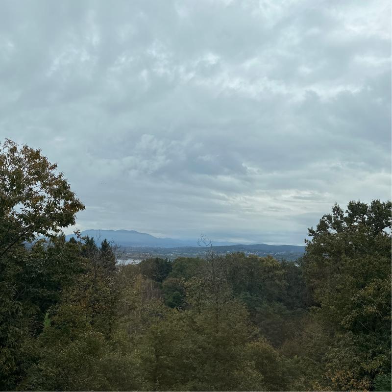 Fotosegnalazione di Oleggio castello