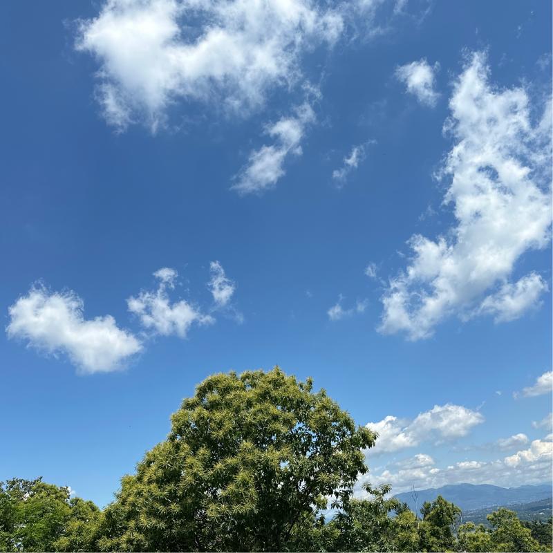Fotosegnalazione di Oleggio castello