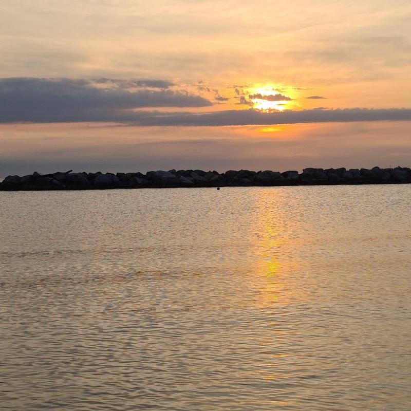Fotosegnalazione di Bellaria igea marina