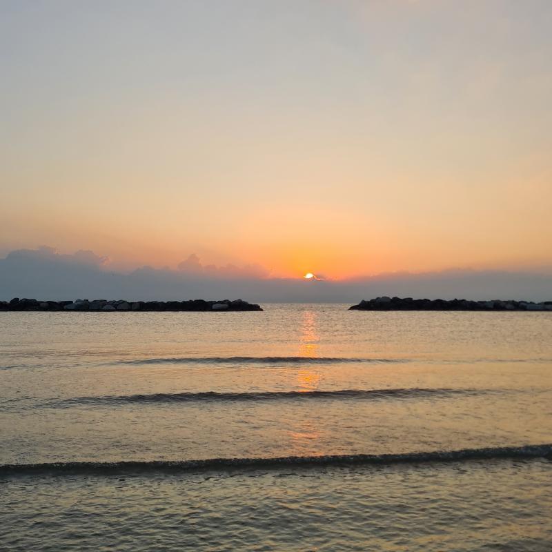 Fotosegnalazione di Bellaria igea marina