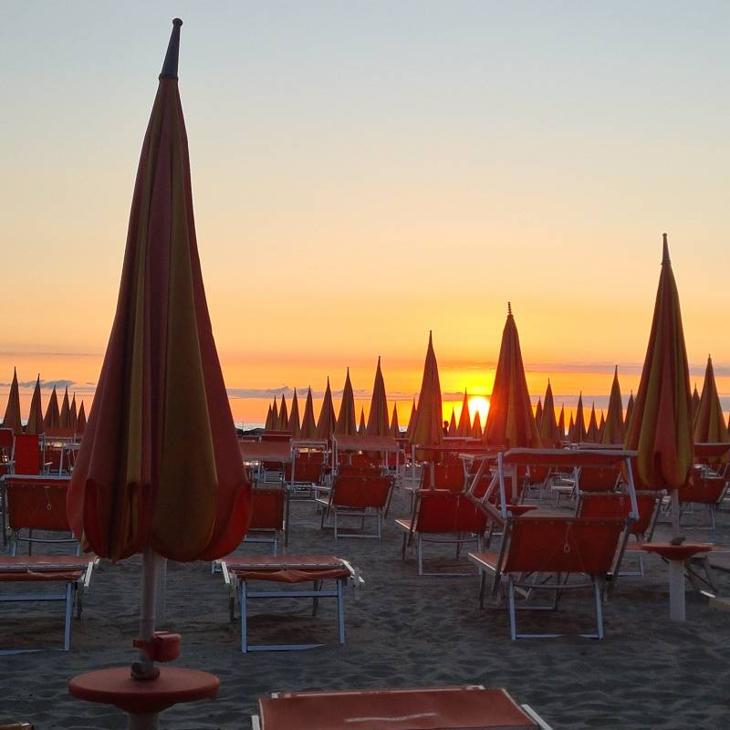 Fotosegnalazione di Bellaria igea marina