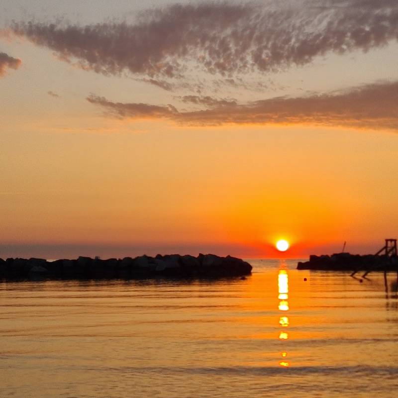 Fotosegnalazione di Bellaria igea marina