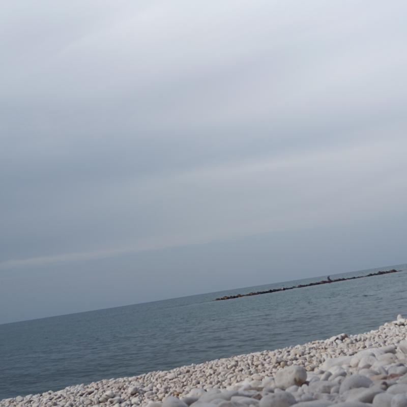 Fotosegnalazione di Bisceglie
