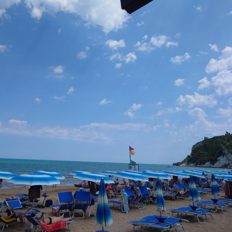 Fotosegnalazione di Rodi garganico