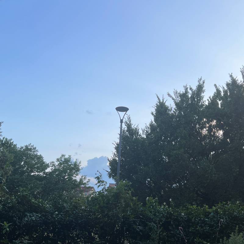 Fotosegnalazione di Treviglio