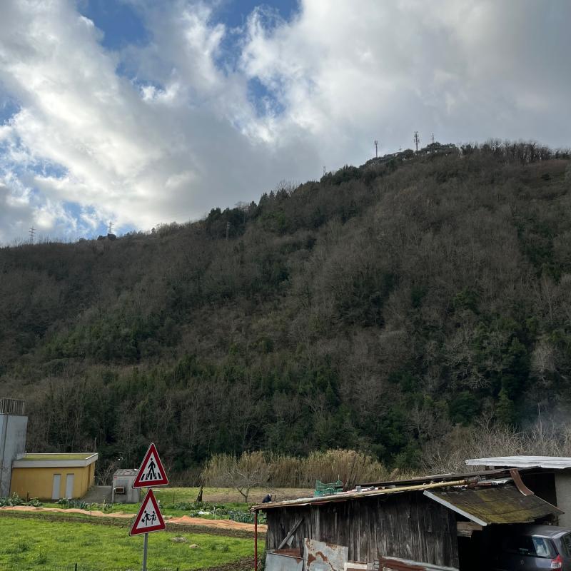 Fotosegnalazione di Mezzanego