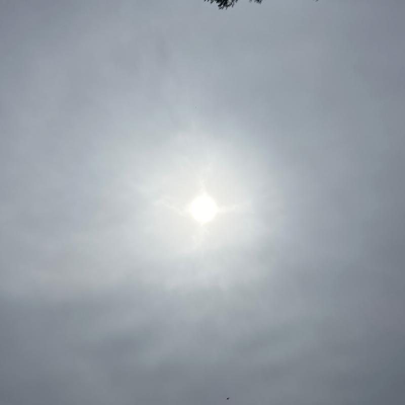 Fotosegnalazione di Pisticci