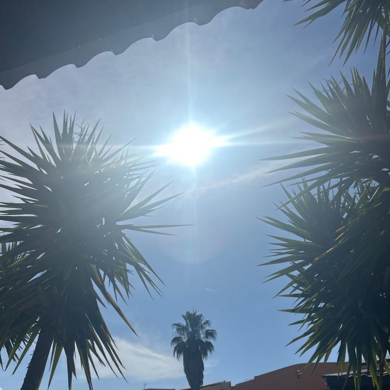 Fotosegnalazione di Nova siri marina