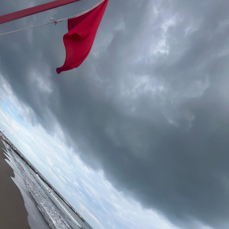 Fotosegnalazione di Rosolina mare