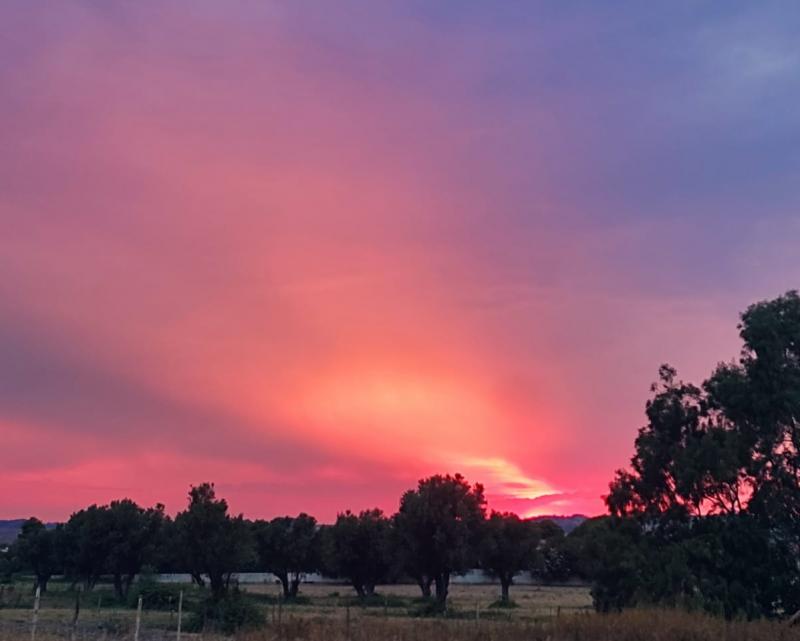 rosso calabrese agosto 22