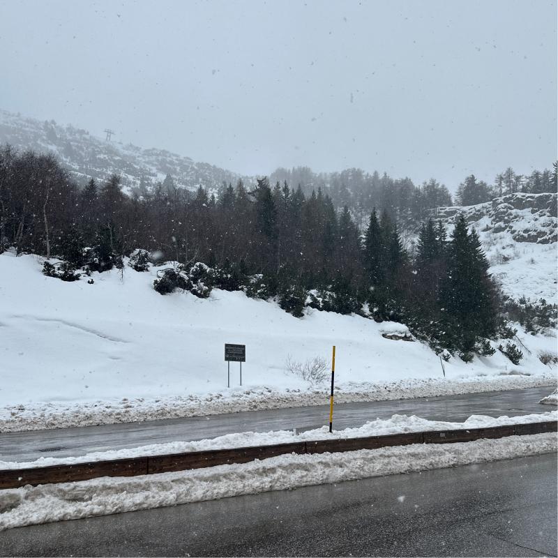 Fotosegnalazione di Trento bondone