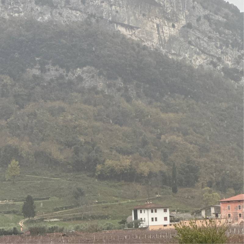 Fotosegnalazione di Arco
