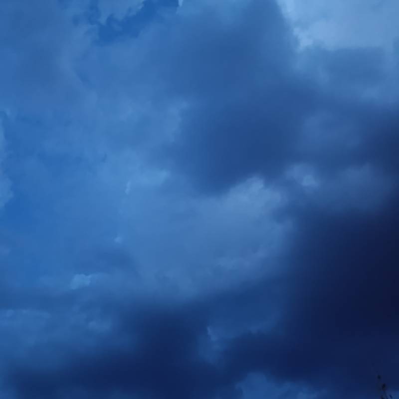 Fotosegnalazione di Donoratico