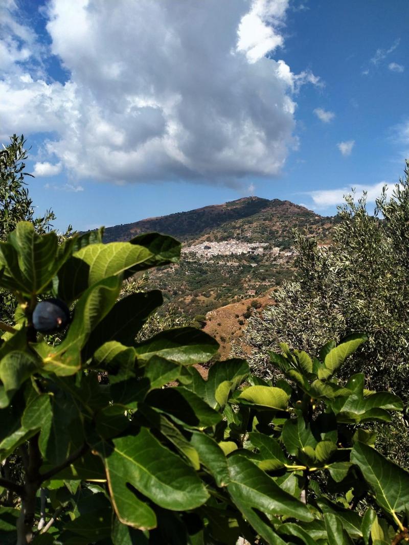 Casalvecchio Si