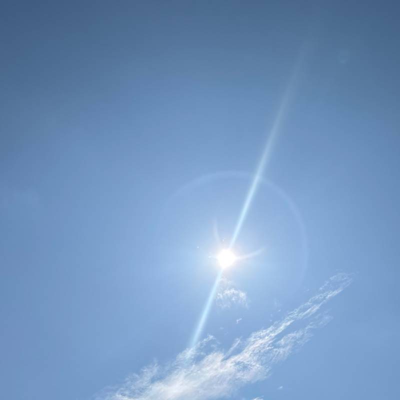 Fotosegnalazione di Scurzolengo