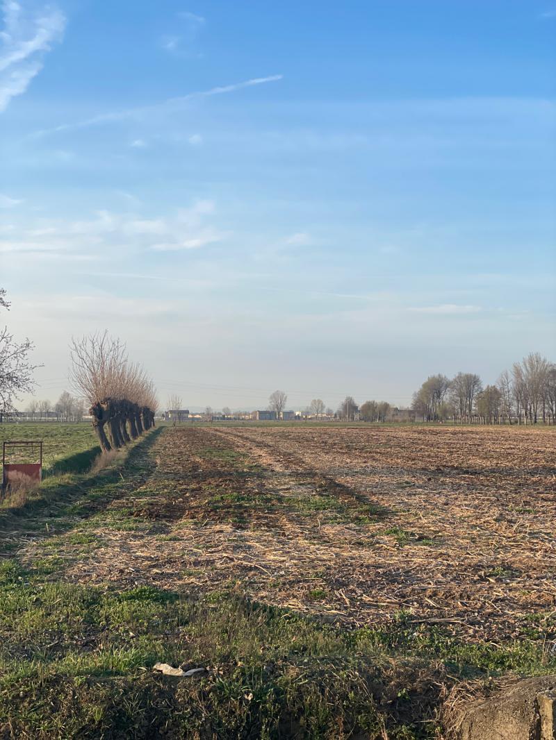 Fotosegnalazione di Travagliato