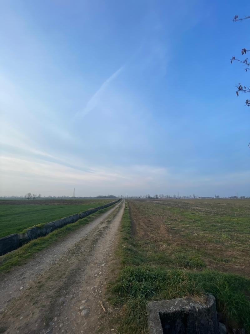 Fotosegnalazione di Travagliato