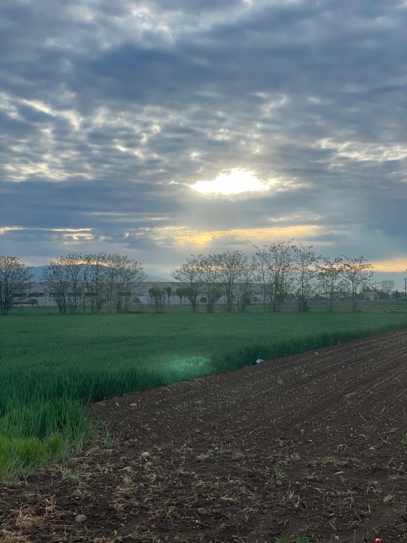 Fotosegnalazione di Travagliato