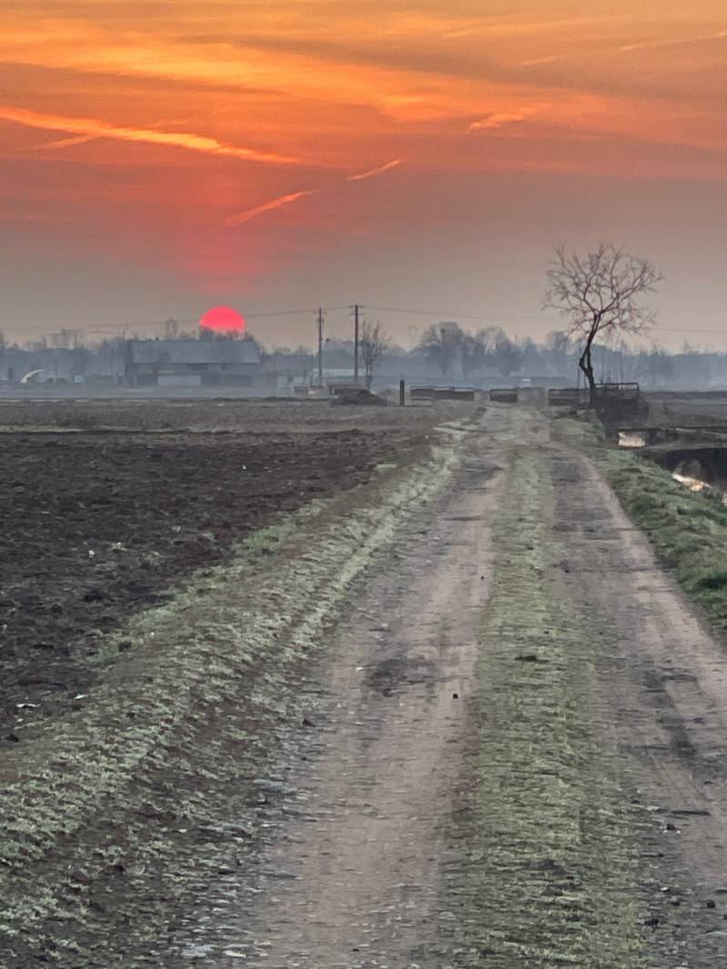 Fotosegnalazione di Travagliato