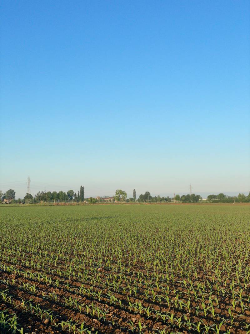 Fotosegnalazione di Travagliato