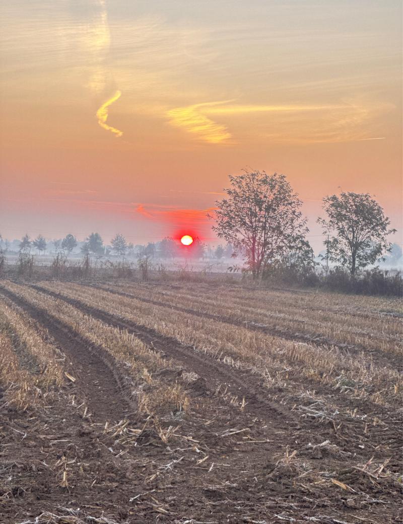 Fotosegnalazione di Travagliato