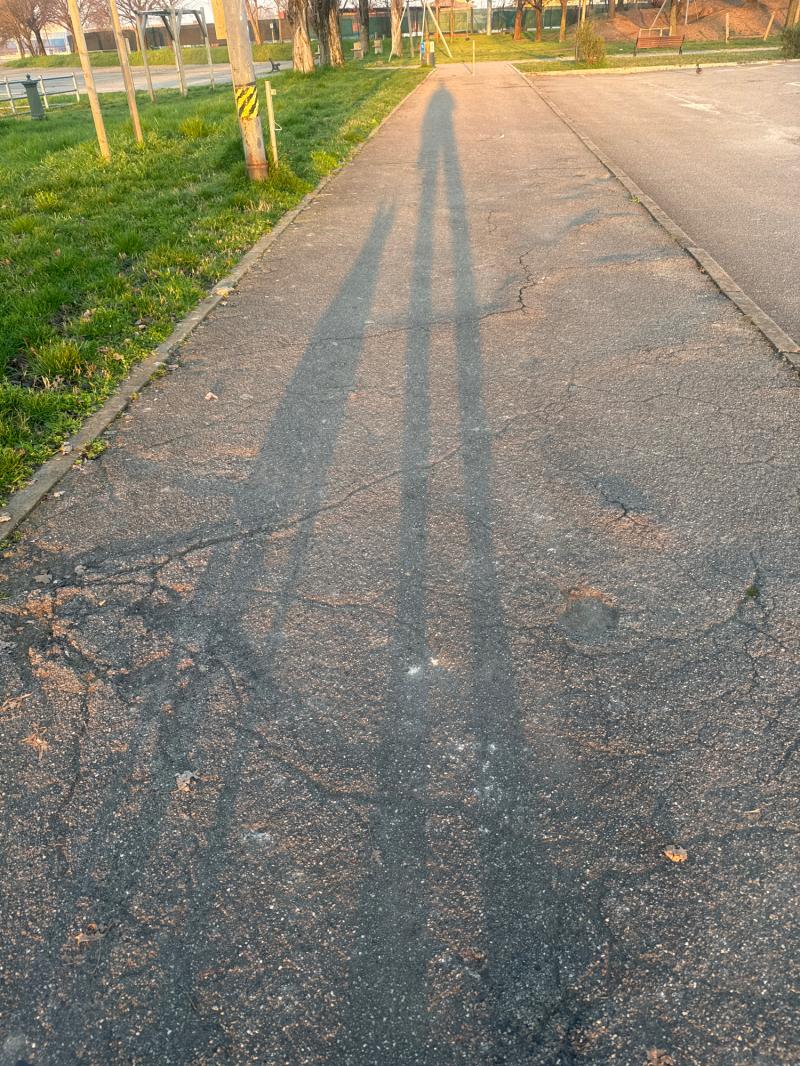 Fotosegnalazione di Travagliato