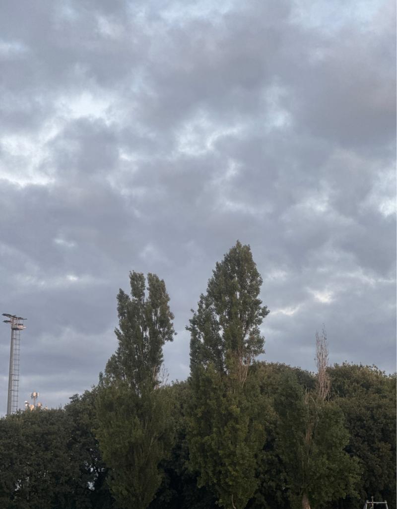 Fotosegnalazione di Travagliato