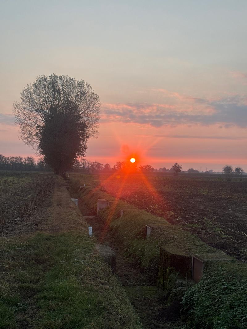 Fotosegnalazione di Travagliato